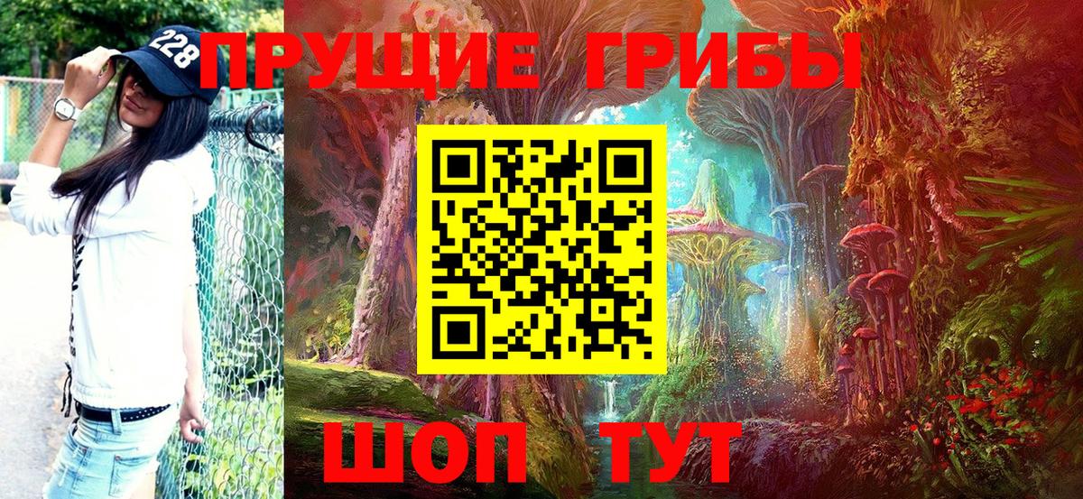 Галлюциногенные грибы ЛСД Отрадный